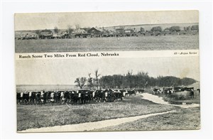 Image description is not available for PHO-264-704